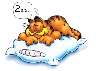 garfield_free_sleep